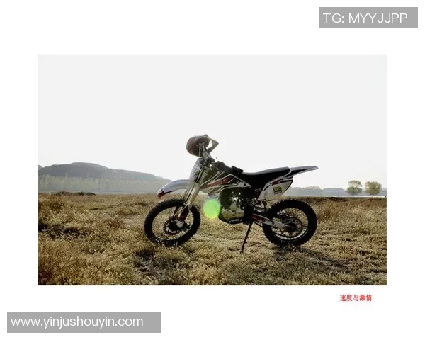 足球球星老虎头像精美设计彰显运动激情与霸气气质 足球球星老虎头像精美设计彰显运动激情与霸气气质